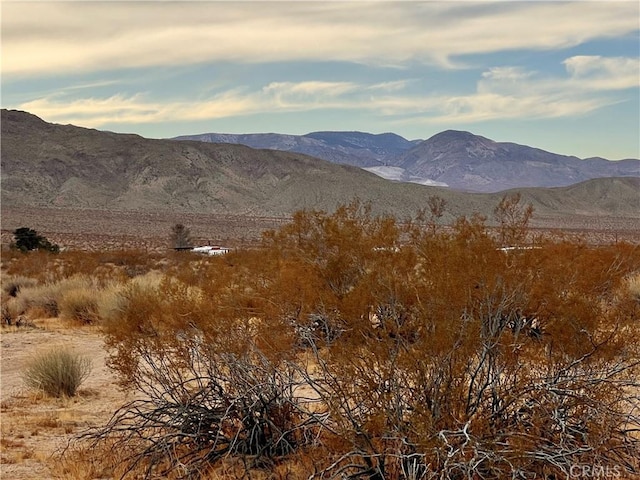 Listing photo 3 for 0 Ocotillo Rd, Johnson Valley CA 92285