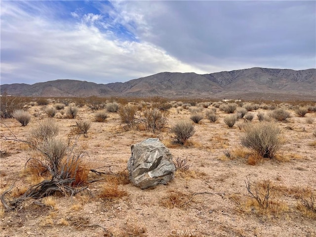 0 Ocotillo Rd, Johnson Valley CA, 92285 land for sale