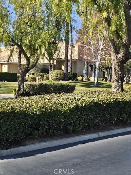 view of front of home featuring a front yard