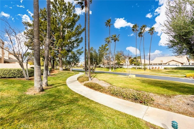 view of community featuring a yard