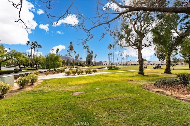 view of community featuring a lawn