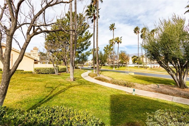 view of community with a lawn