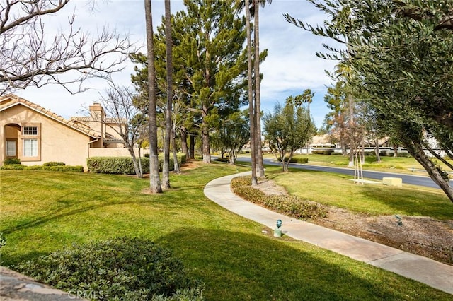 view of community with a yard