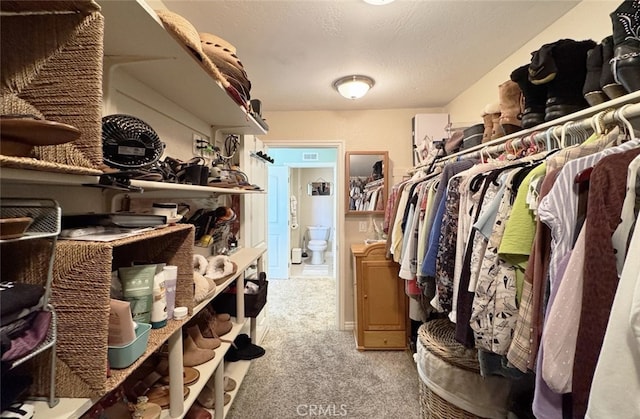 walk in closet with light colored carpet