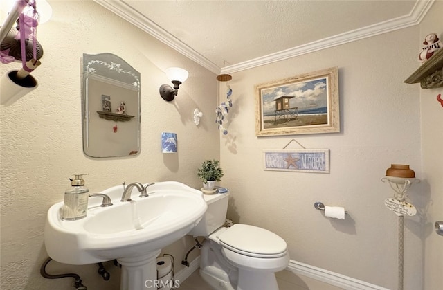 bathroom with toilet, crown molding, and sink