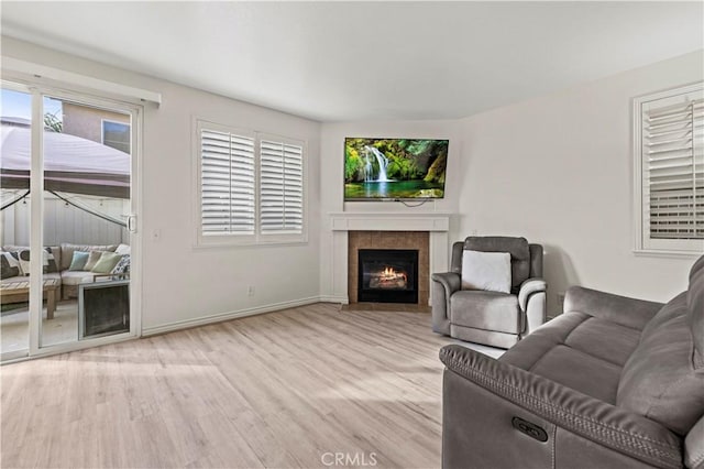 living room featuring a fireplace and light hardwood / wood-style flooring