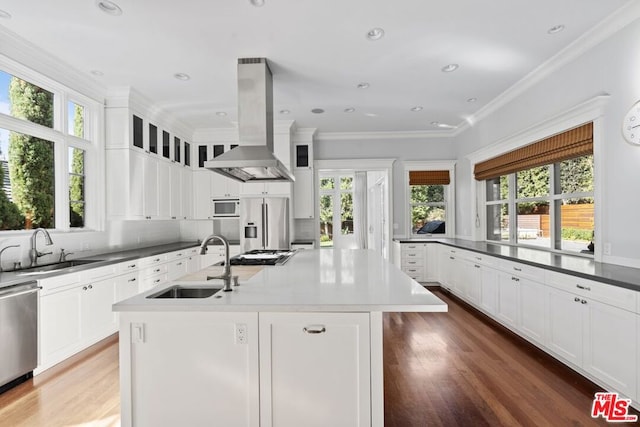 kitchen with island exhaust hood, appliances with stainless steel finishes, a kitchen island with sink, and sink