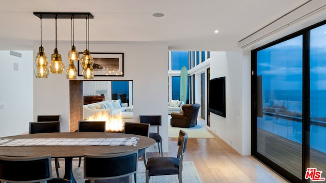 dining room with light hardwood / wood-style flooring