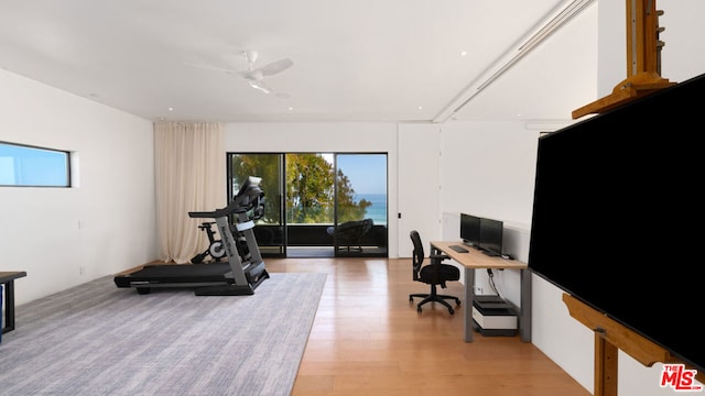 workout room featuring ceiling fan, plenty of natural light, and light hardwood / wood-style flooring