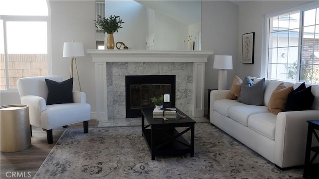 living room with a tiled fireplace and hardwood / wood-style flooring