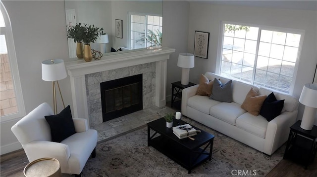 living room featuring hardwood / wood-style floors and a premium fireplace