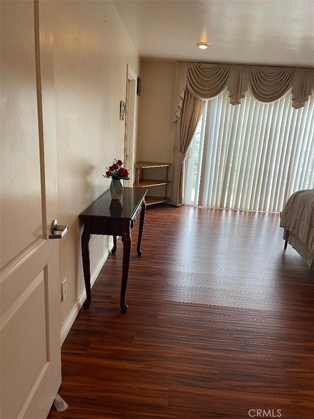 hallway featuring dark hardwood / wood-style flooring