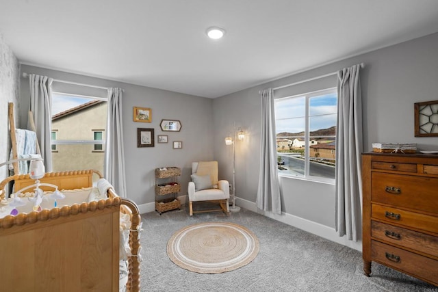 interior space featuring baseboards and carpet flooring