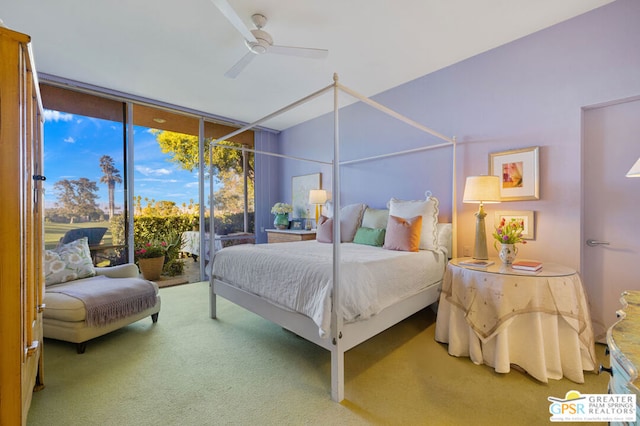 bedroom featuring ceiling fan, access to exterior, a wall of windows, and carpet floors