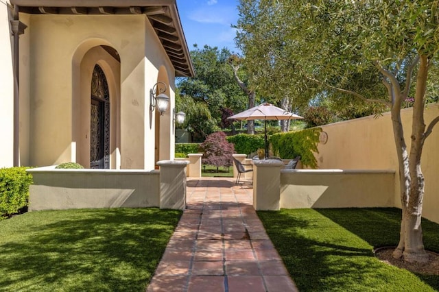 view of yard with a patio