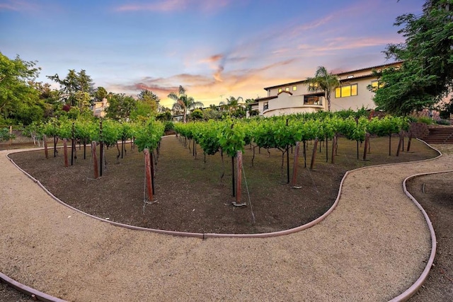 view of yard at dusk