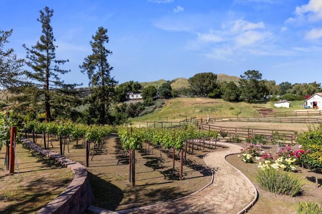 view of home's community featuring a rural view