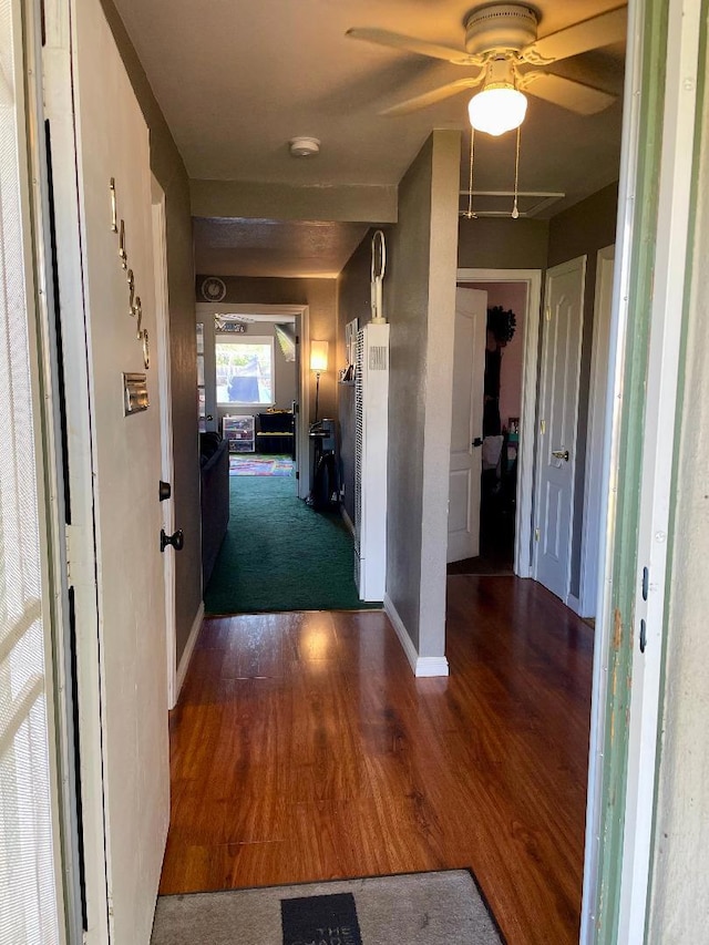 hall with dark wood-type flooring