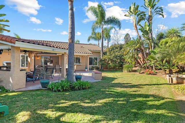 view of yard featuring a patio area and ceiling fan