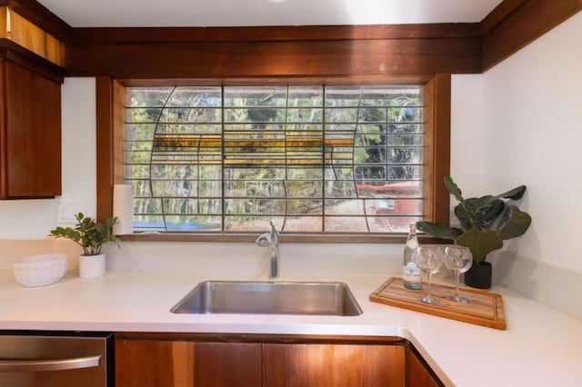 kitchen featuring sink, dishwasher, and a healthy amount of sunlight