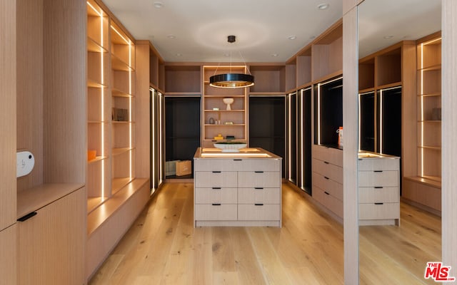 spacious closet with light wood-type flooring