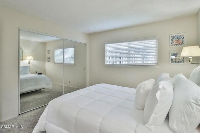 bedroom with a closet and carpet