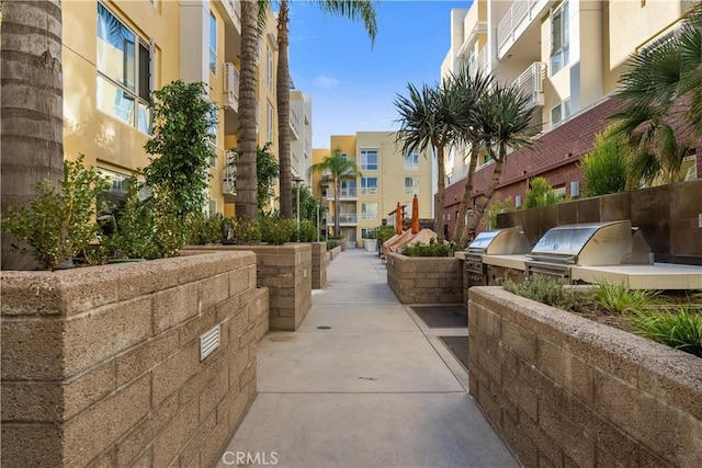 view of property's community featuring an outdoor kitchen