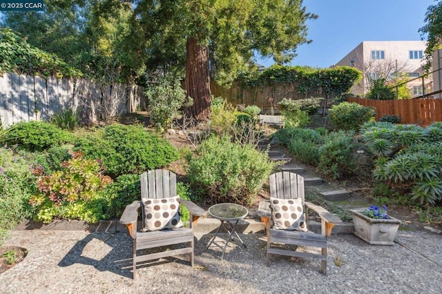 view of yard featuring a patio