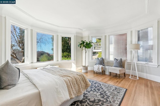 bedroom with multiple windows and wood-type flooring