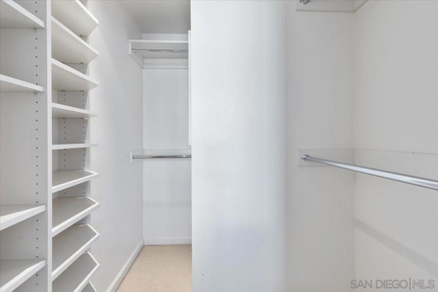 spacious closet featuring carpet floors