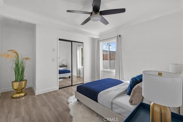 bedroom with ceiling fan, a closet, and light hardwood / wood-style flooring