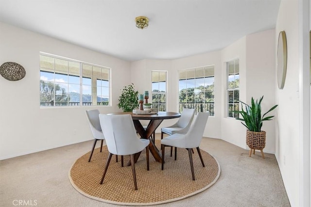 view of carpeted dining area