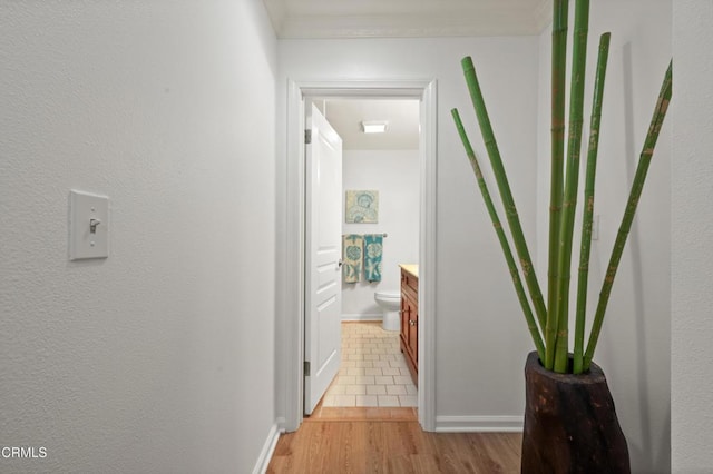 corridor with ornamental molding and light hardwood / wood-style flooring