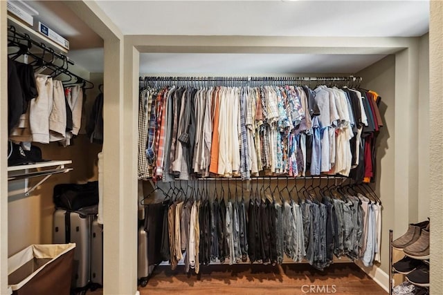 spacious closet with hardwood / wood-style floors