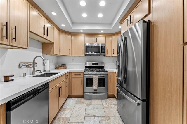 kitchen with sink, stainless steel appliances, a raised ceiling, and light brown cabinets