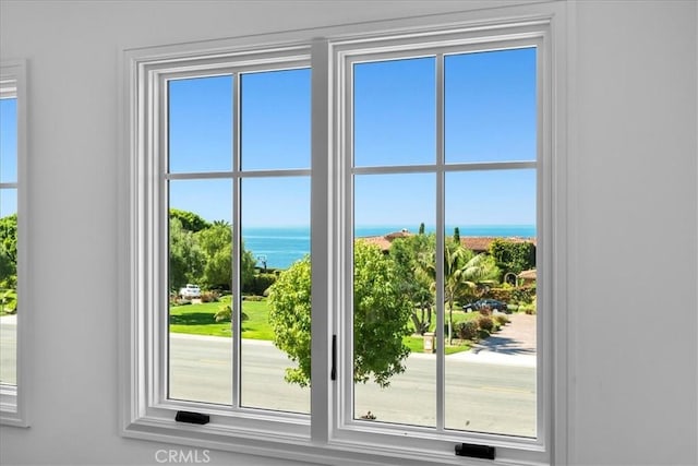 doorway with a water view and a wealth of natural light