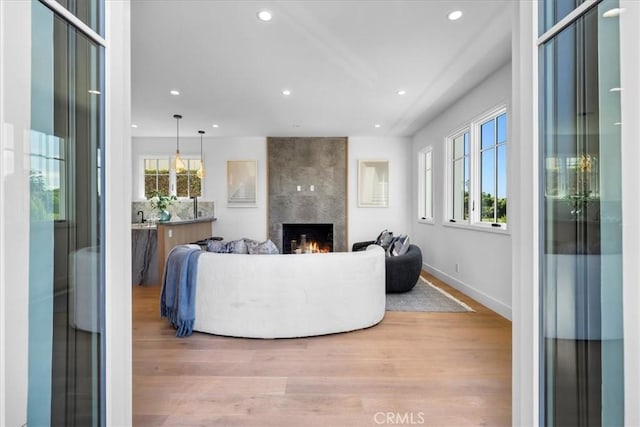 living room featuring a large fireplace, a healthy amount of sunlight, and light hardwood / wood-style floors