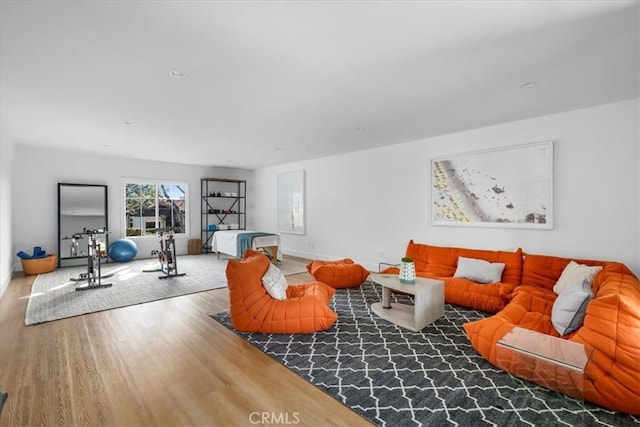 living room with hardwood / wood-style floors