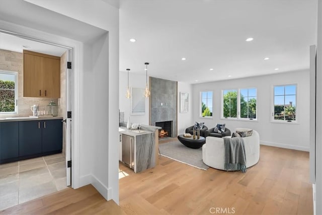 living room featuring a fireplace and light hardwood / wood-style floors