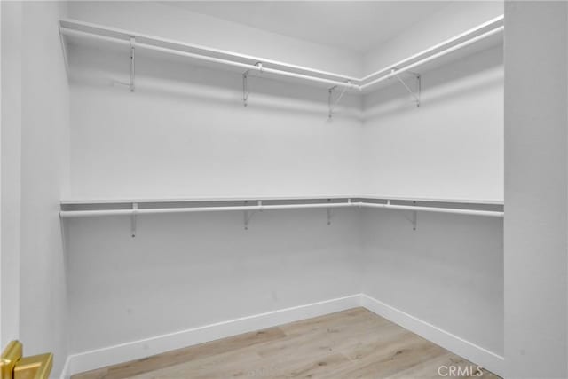 walk in closet with light wood-type flooring