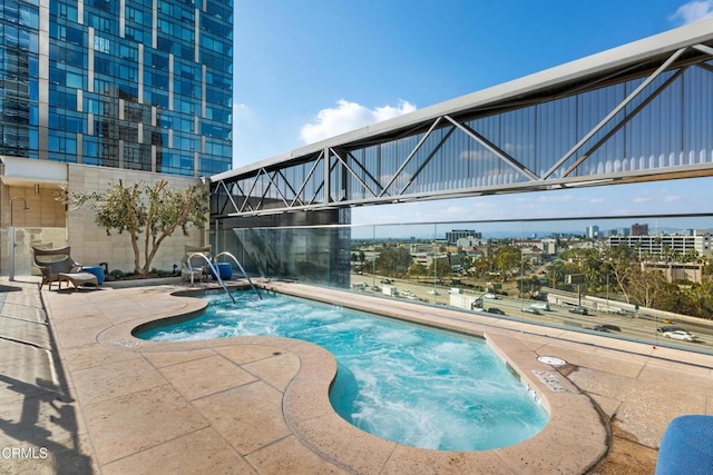 view of pool with a patio