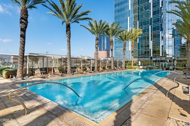 view of pool featuring a patio