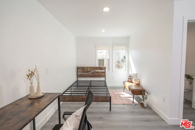 interior space featuring hardwood / wood-style floors