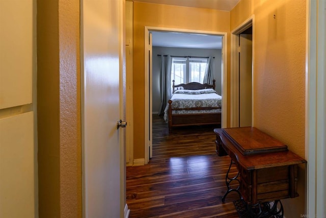 hall featuring dark wood-type flooring