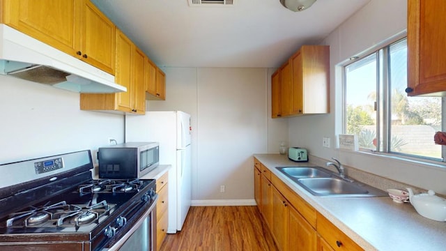 kitchen with plenty of natural light, stainless steel appliances, sink, and light wood-type flooring