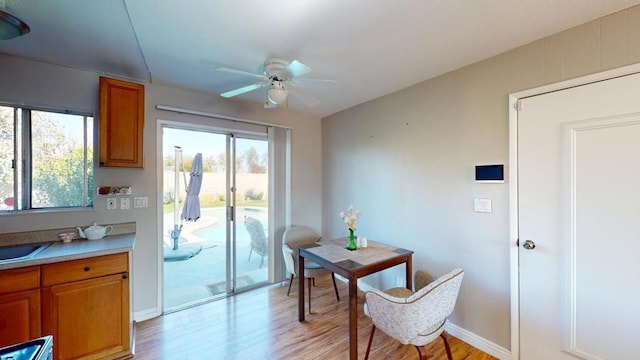 doorway featuring ceiling fan, light hardwood / wood-style floors, and a healthy amount of sunlight