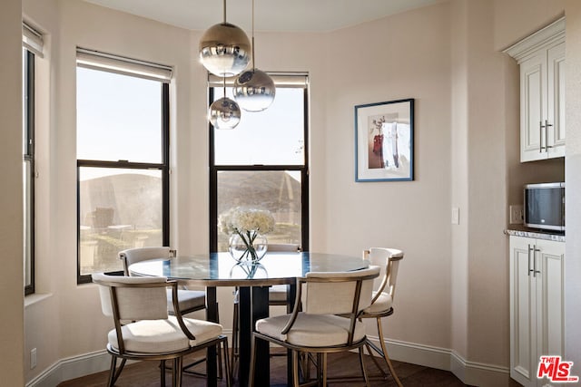 dining room with dark hardwood / wood-style floors