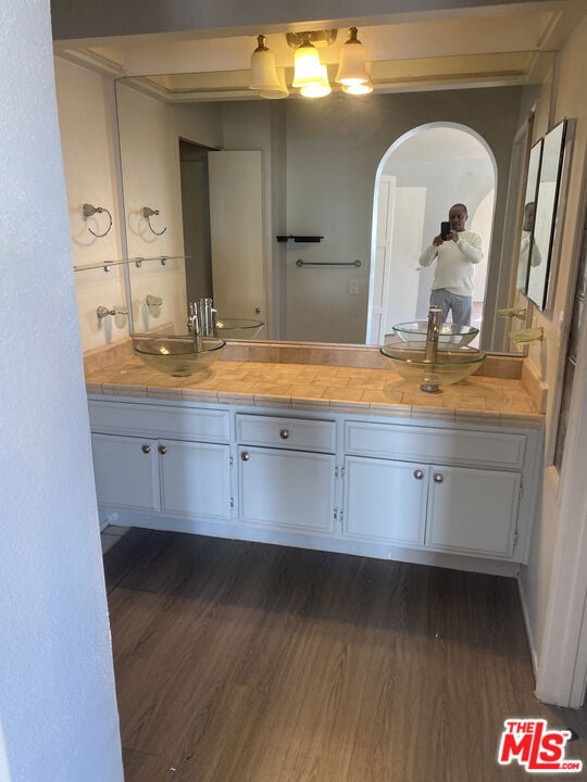 bathroom featuring vanity and wood-type flooring