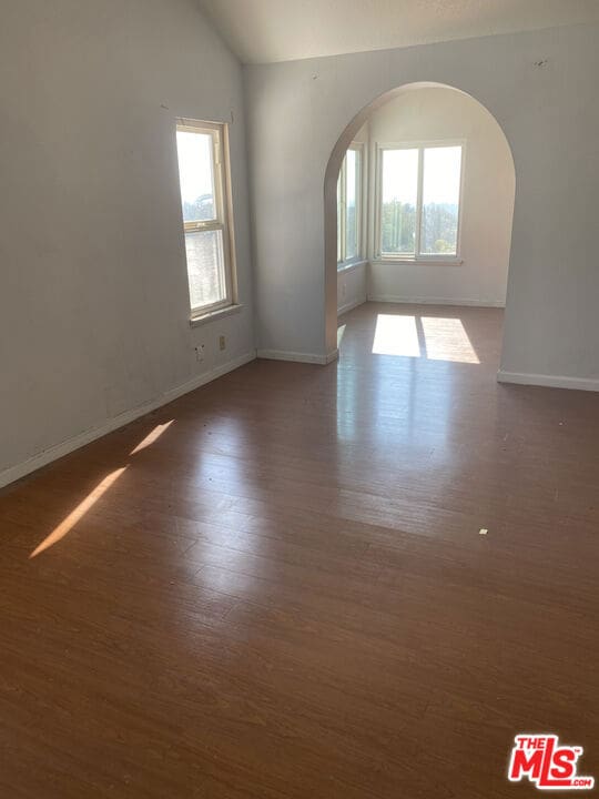 empty room with vaulted ceiling, a wealth of natural light, and dark hardwood / wood-style flooring