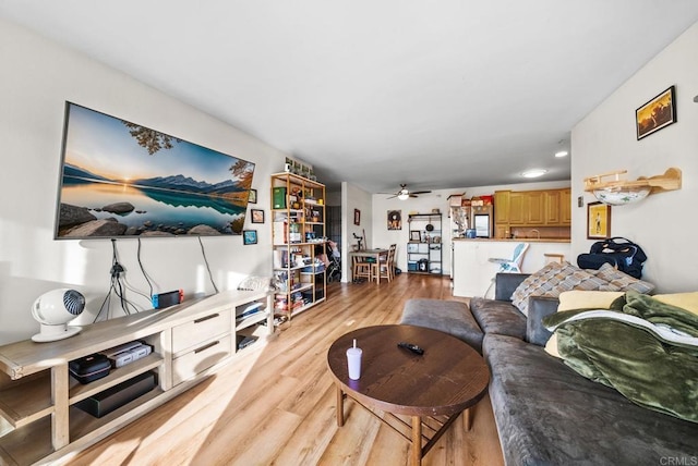 living room with ceiling fan and light hardwood / wood-style floors